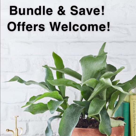 A closet full of brand name markdowns - Picture 1 of 1